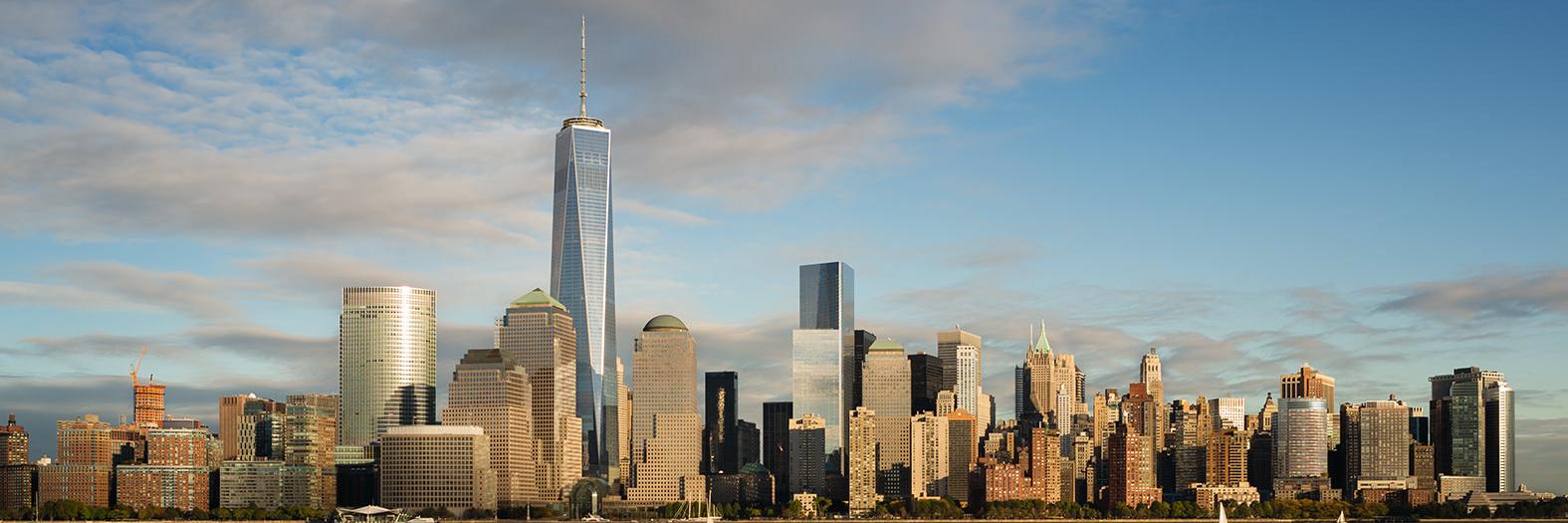 Cerami & Associates banner