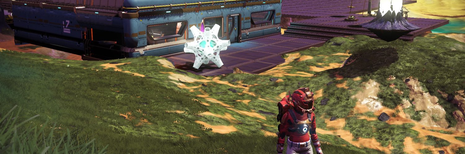 Sandra Profit banner