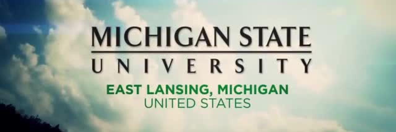 Michelle2Cheney's profile banner image