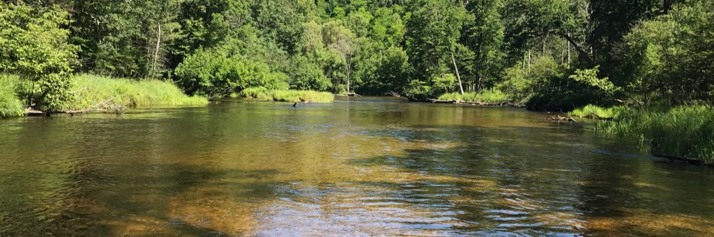 Christopher Wilson banner