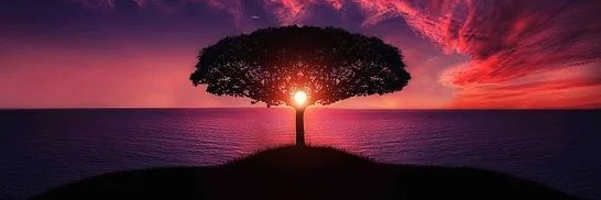 GDammitbobby's profile banner image