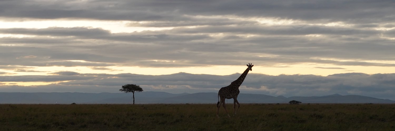 Rishabh Katiyar banner