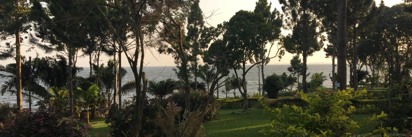 Catherine Byaruhanga banner