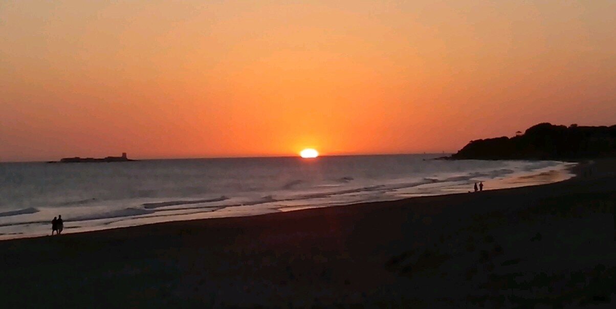 andreaulloa4's profile banner image