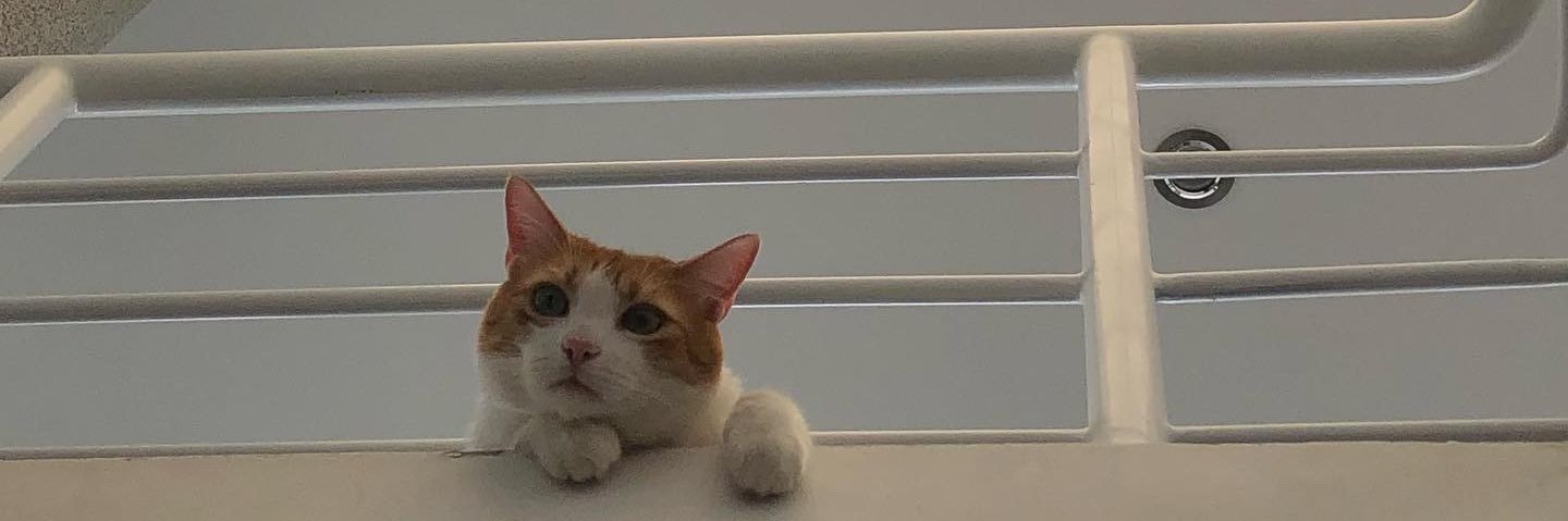 ____micavil's profile banner image