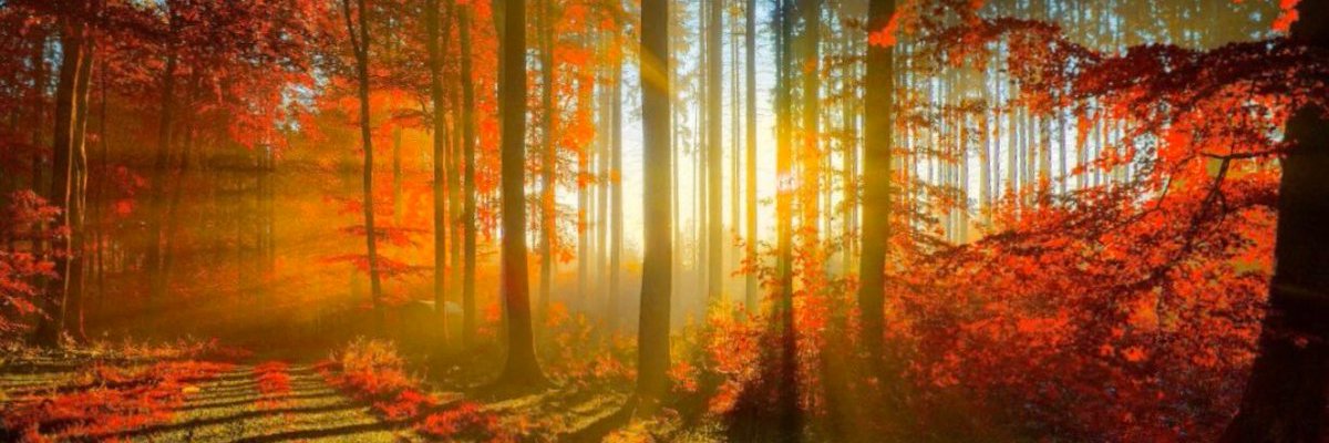 EstebanBenOK's profile banner image