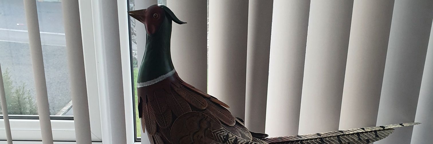 sandancer78's profile banner image