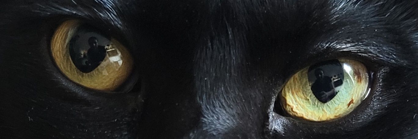 deliciousdark's profile banner image