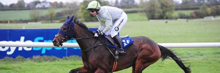Kate Harrington banner