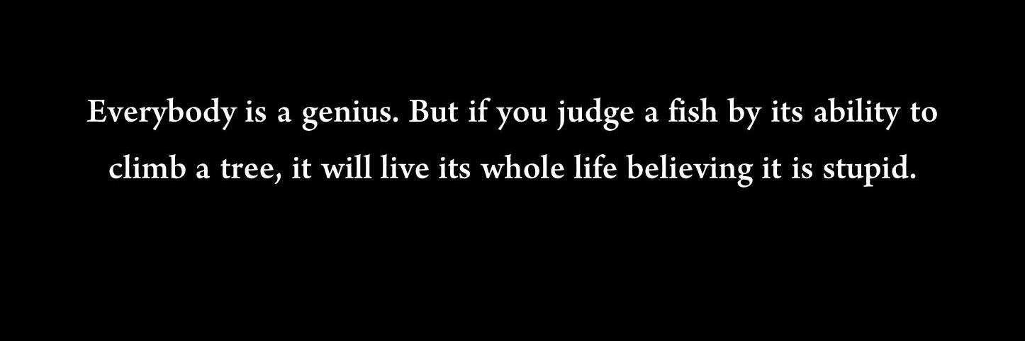 Stijn Servaes banner