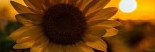 nikkitoxic92's profile banner image
