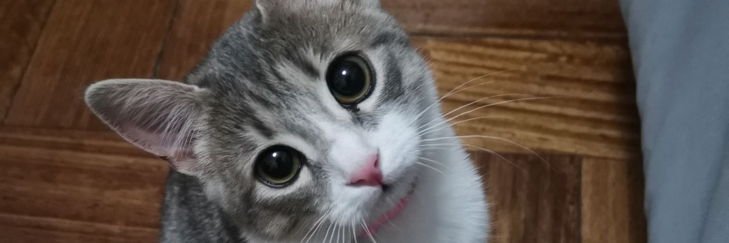 Daniela Espinoza Zavala banner