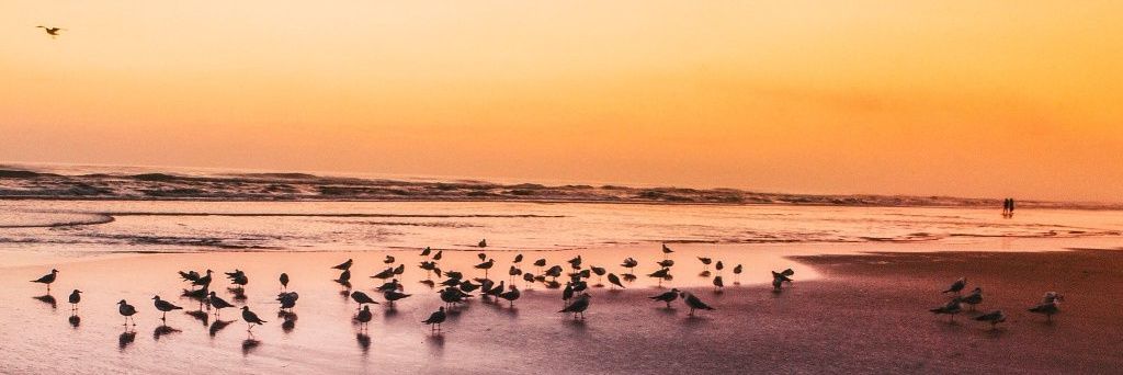 ccmu_'s profile banner image