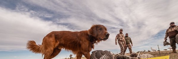 reed_sexton's profile banner image