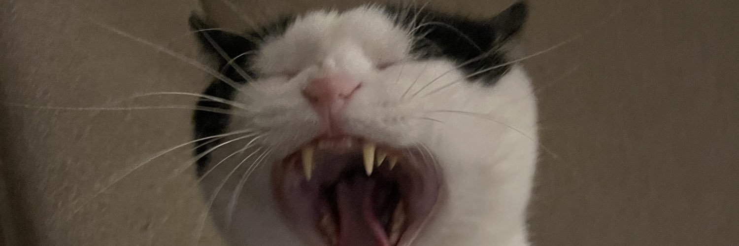 jennramo5's profile banner image