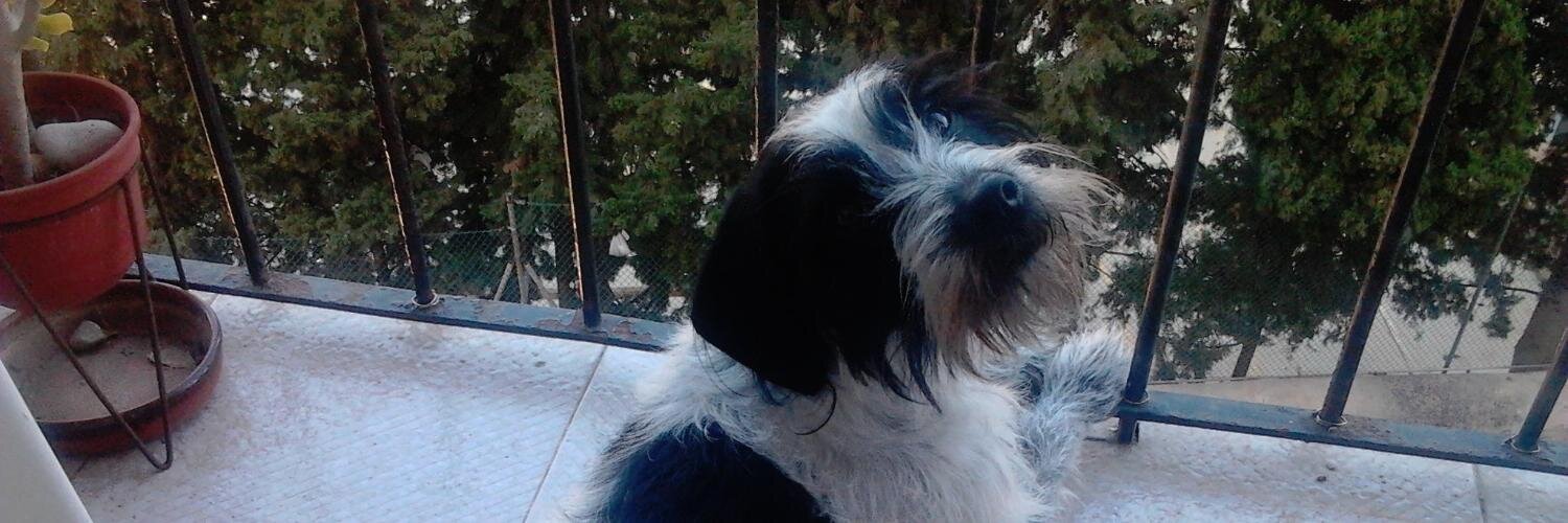 Nacho_MLC's profile banner image