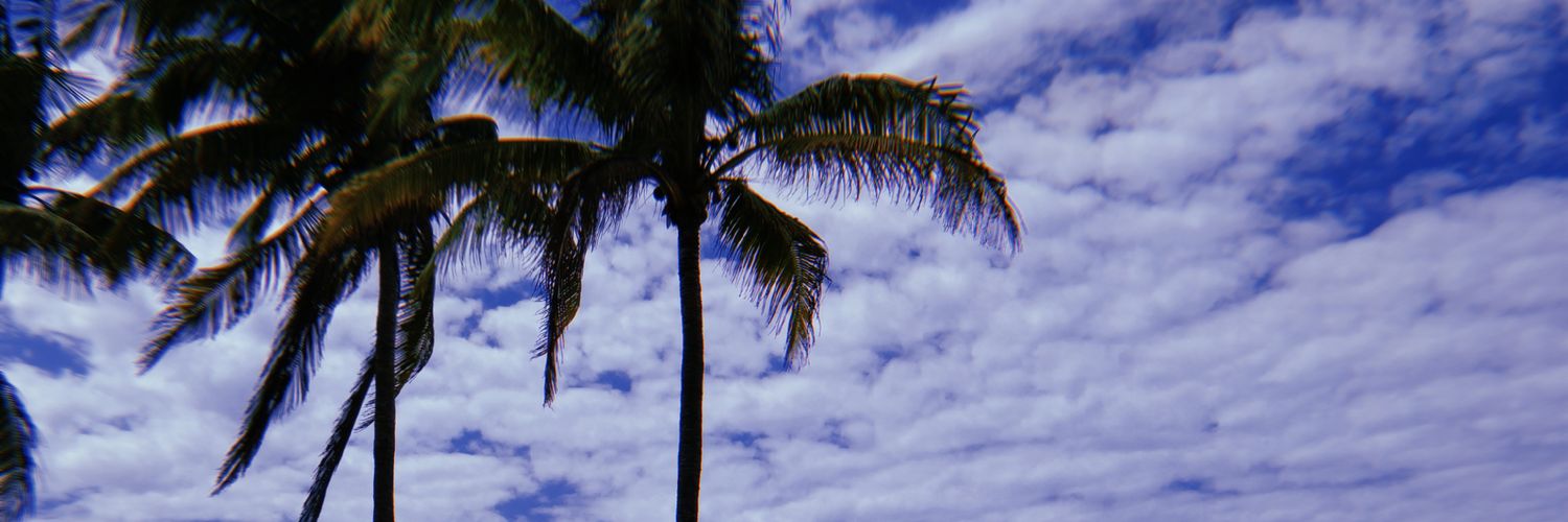 24_nuria's profile banner image