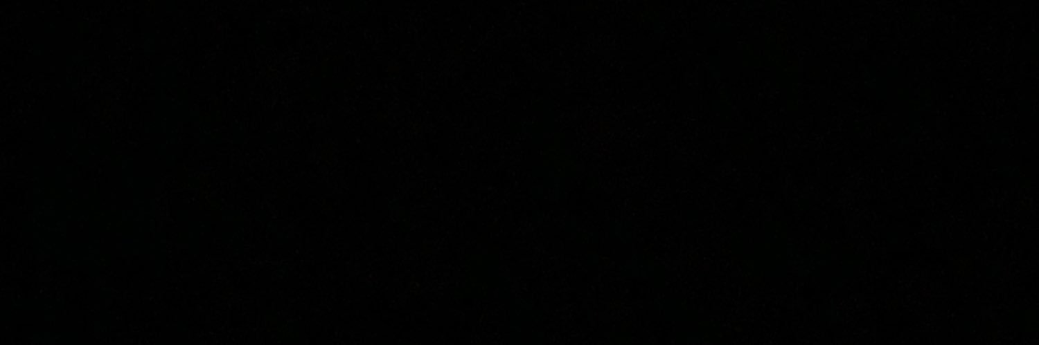 Lee19payton's profile banner image