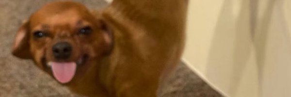 ms_nashh Profile Banner