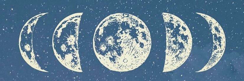 _lisabernardo's profile banner image