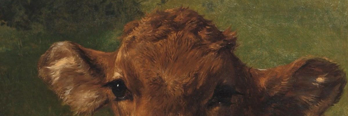 oceanodeflor's profile banner image