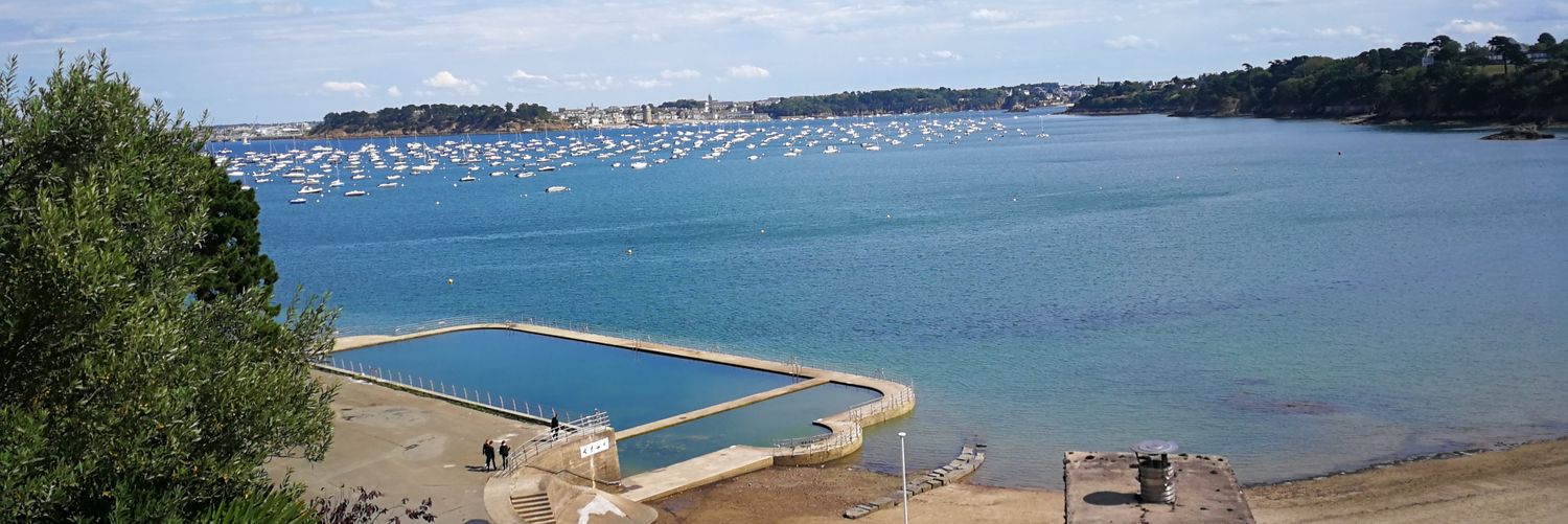 Catherine Showell banner