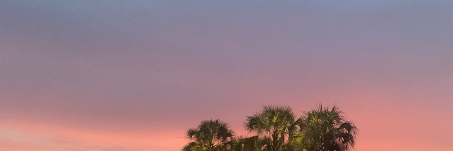 princesssamv's profile banner image