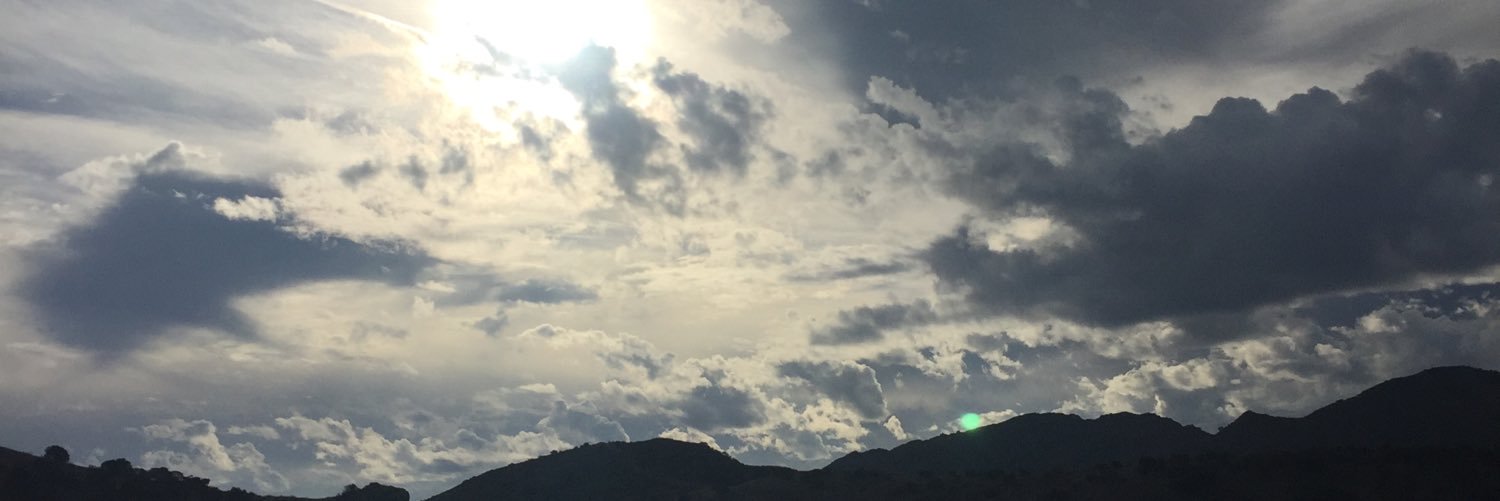 Wendicook's profile banner image