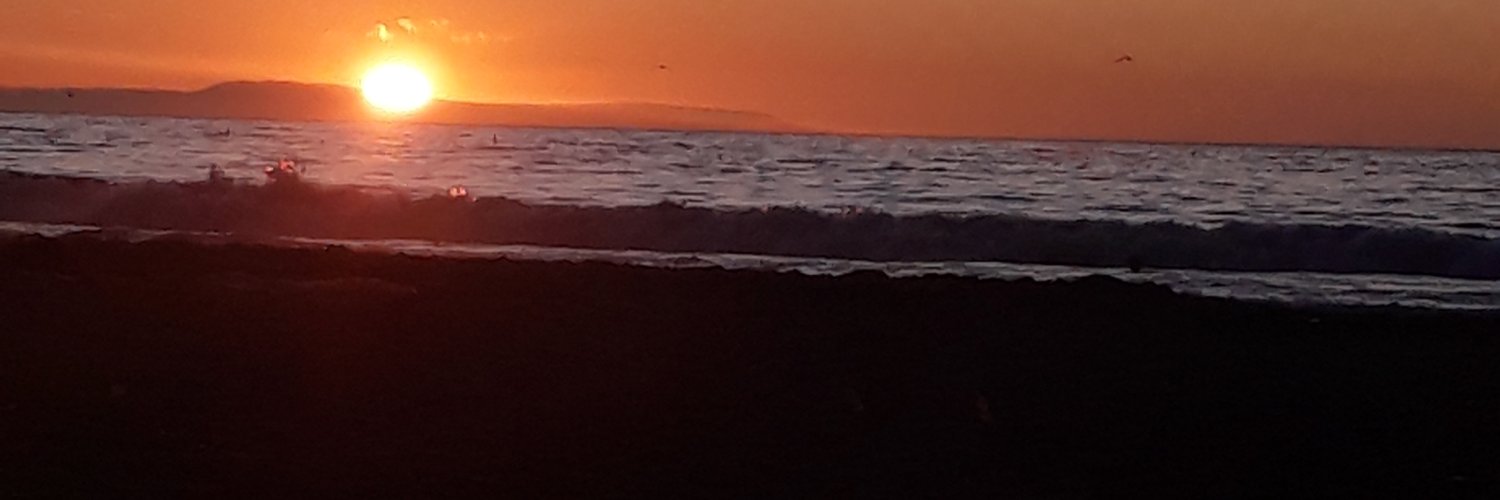 bcftss's profile banner image