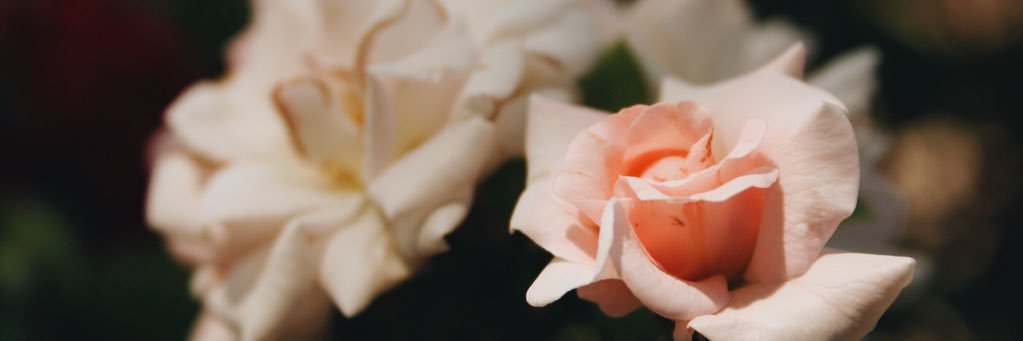 mxrleebaker's profile banner image