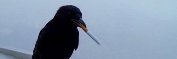 UncleBillyyy's profile banner image