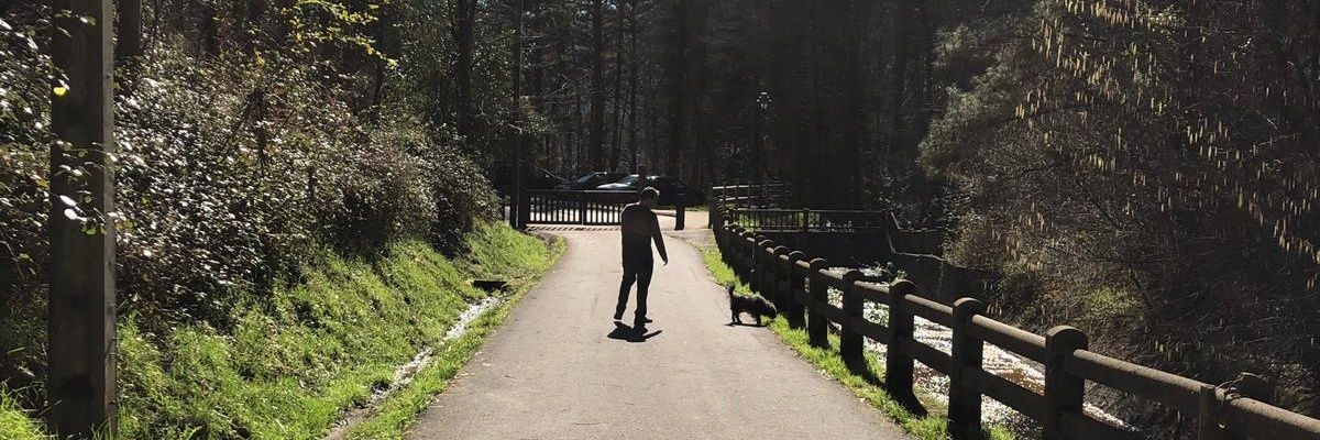 koikolo84's profile banner image