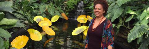 Stephanie Bird banner