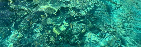 aneiisz Profile Banner