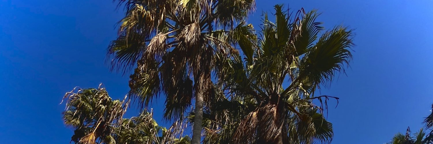 shaylaappell's profile banner image