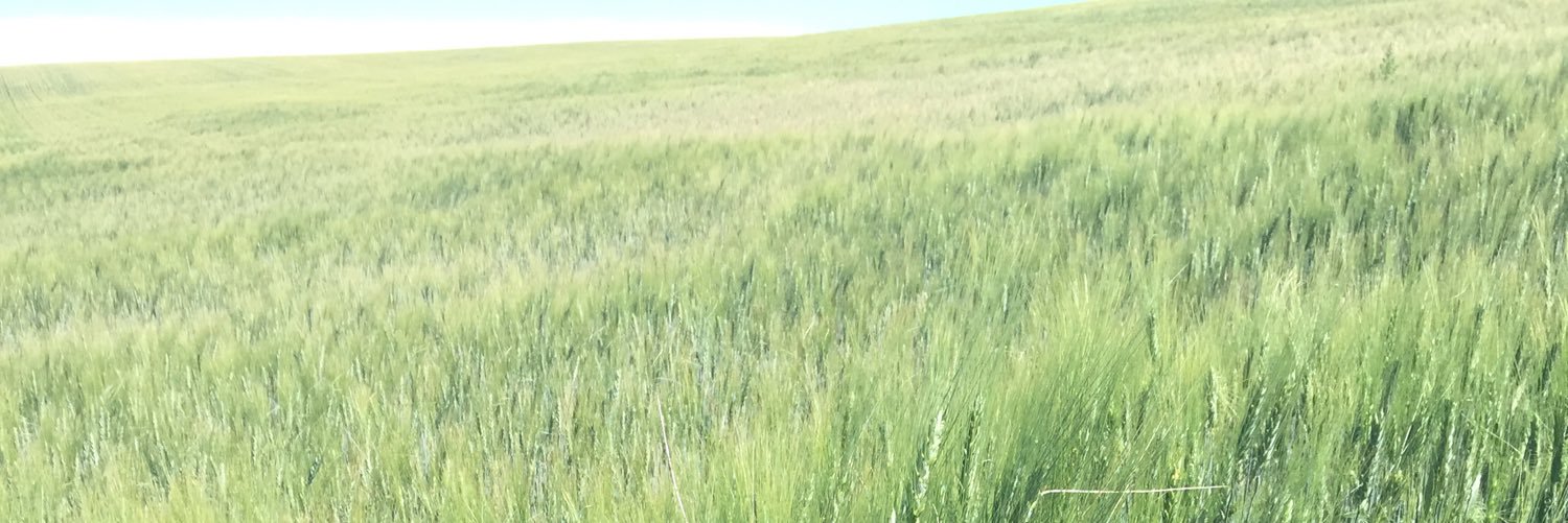 bGore95's profile banner image
