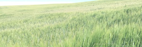 bGore95 Profile Banner