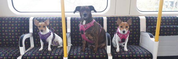 joedafoneUK Profile Banner