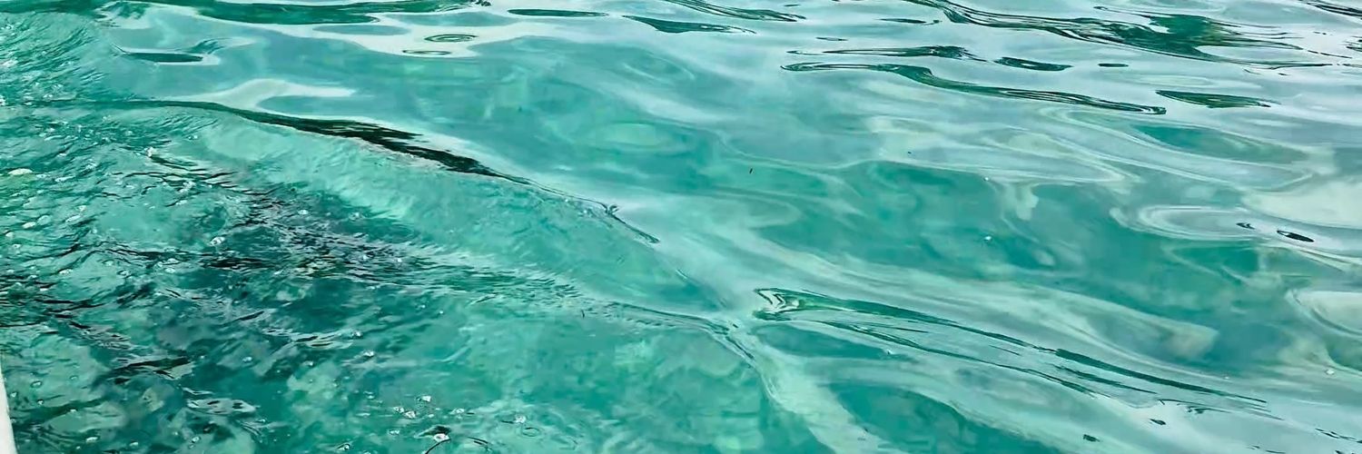 lissariley's profile banner image