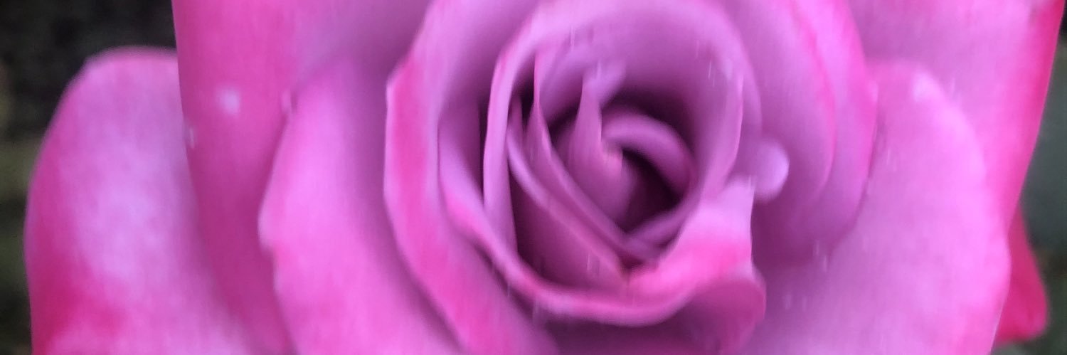 nathanchanki's profile banner image