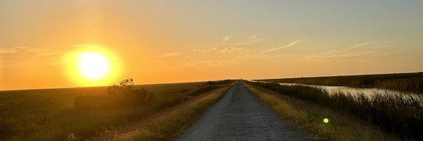 Nae_Powell Profile Banner