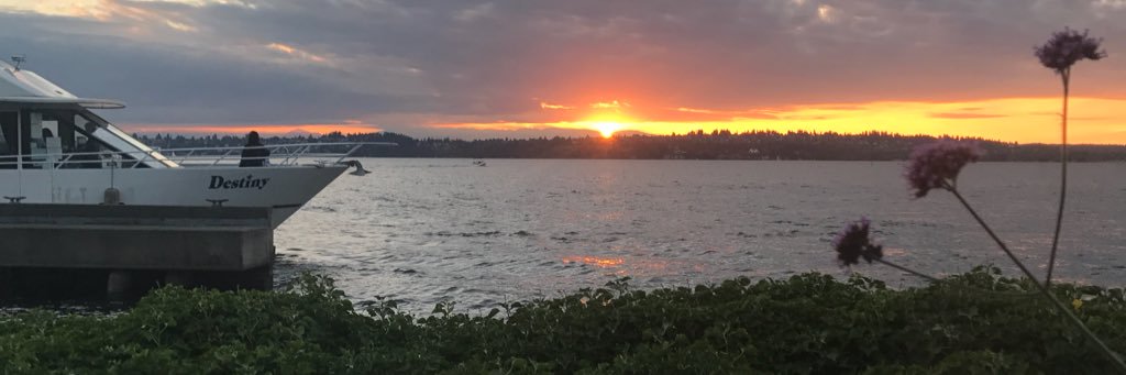 brooklyndbarber's profile banner image