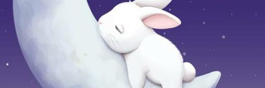 shaina_Gorg's profile banner image