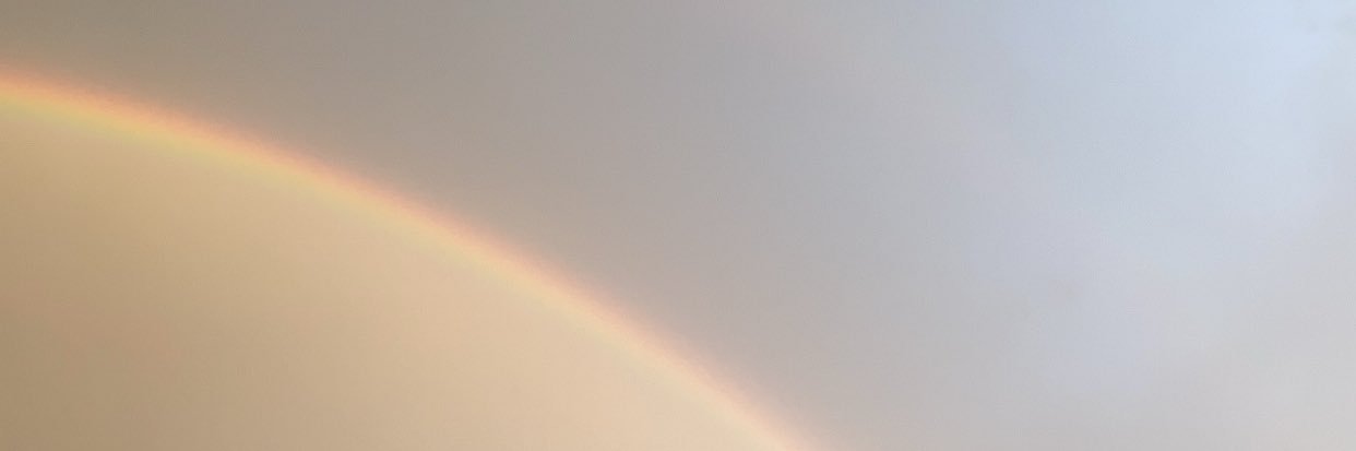Victoria_melins's profile banner image
