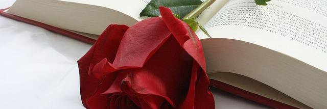 Belle Sprig banner