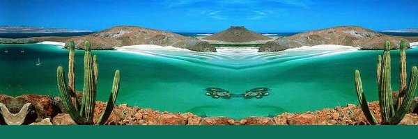 MexicoInsStore Profile Banner