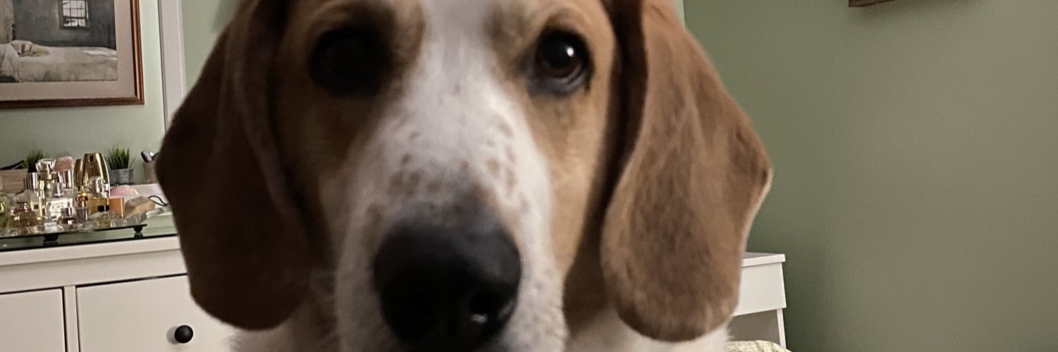 MrCooper_gb's profile banner image