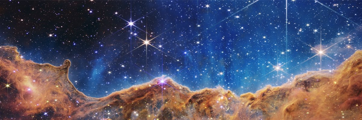 polly_vera's profile banner image