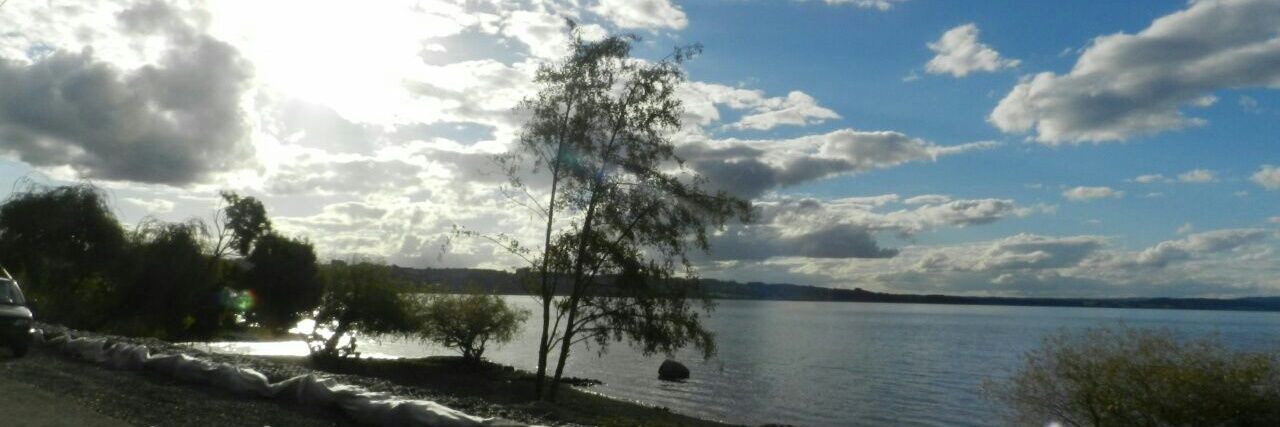 BeatrizColiman's profile banner image