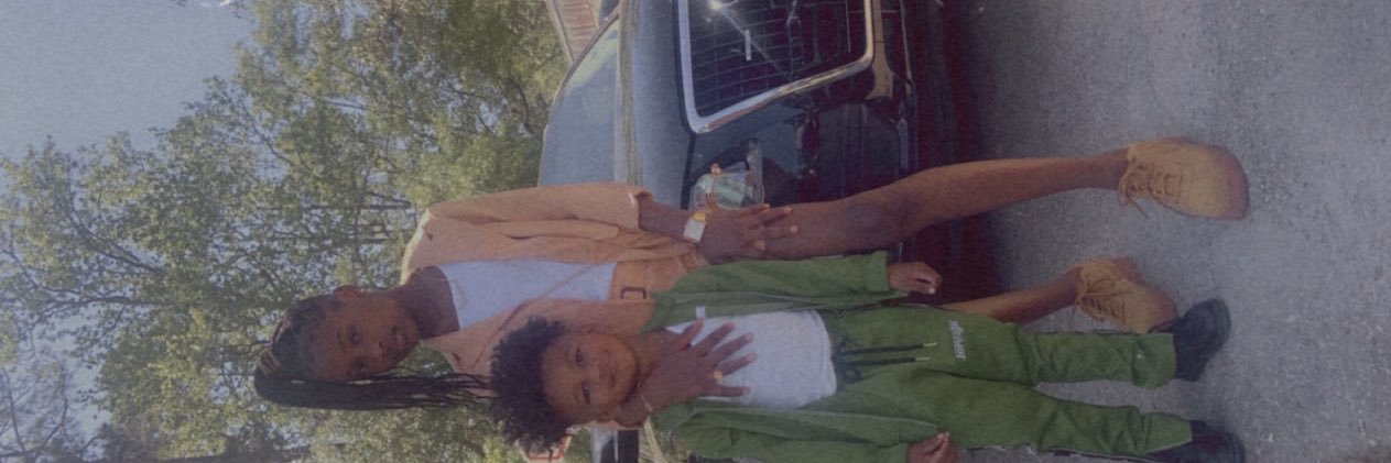 shehateWAYNE's profile banner image